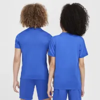 Nike Trophy23 Big дитячі Dri-FIT Short-Sleeve Top блакитний