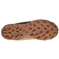 Кросівки зимові SALOMON OUTblast TS CSWP (473825)