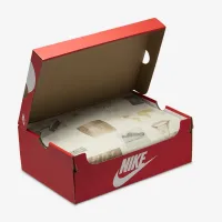 Nike Dunk Low Retro Кросівки колір білий