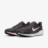 Nike Pegasus 41 NFL Tampa Bay Buccaneers чоловічі Road Running Кросівки колір сірий