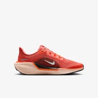 Nike Pegasus 41 Big детские Road Running Кроссовки Orange