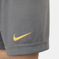 Nike Dri-FIT Dropнабор Toddler шорты набор цвет серый