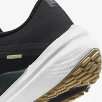 Nike Winflo 10 мужские Road Running Кроссовки цвет черный