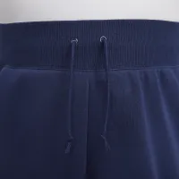 Nike Sportswear Phoenix Fleece женская С высокой Талией оверсайз Sweatpants (большие размеры) синий