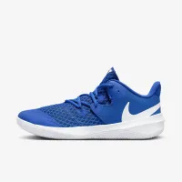 Nike HyperSpeed Court волейбольные Кроссовки синий