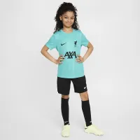 Liverpool FC Academy Pro Big детские Nike Dri-FIT Soccer Pre-Match Short-Sleeve Top цвет зеленый