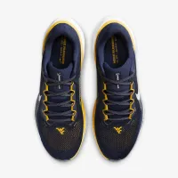West Virginia Pegasus 41 мужские Nike College Road Running Кроссовки синий