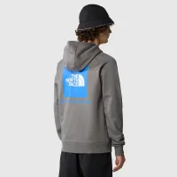Кофта/футболка The North Face Raglan цвет красныйbox 0A2ZWU0UZ1 - Серая