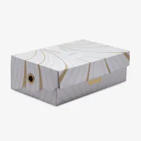 Nike LeBron XXI баскетбольные Кроссовки синий