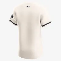 Minnesota Twins мужские Nike Dri-FIT ADV MLB Elite Jersey цвет коричневый