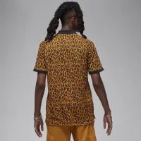 Nike Jordan Dri-FIT Sport мужские для гольфа Polo цвет коричневый