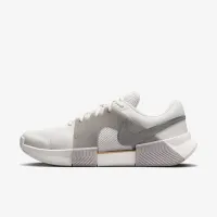 NikeCourt GP Challenge 1 Premium мужские Hard Court Tennis Кроссовки цвет серый
