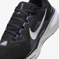 TCU Pegasus 41 чоловічі Nike College Road Running Кросівки колір чорний