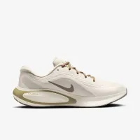Nike Journey Run чоловічі Road Running Кросівки колір сірий