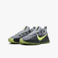 Nike LeBron TR 1 чоловічі для тренування Кросівки колір сірий