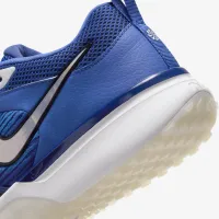 Nike Air Zoom Diamond Elite Turf мужские Baseball Кроссовки синий
