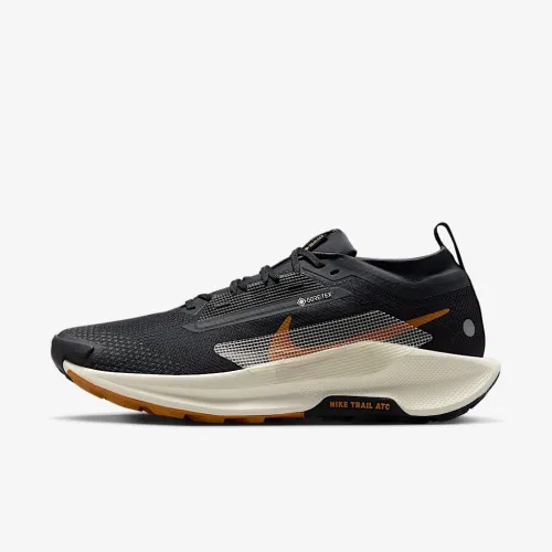 Nike Pegasus Trail 5 GORE-TEX чоловічі Waterproof Trail Running Кросівки колір чорний