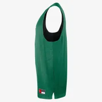 Boston Celtics Courtside мужские Nike NBA Mesh Practice Jersey цвет зеленый