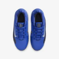 Nike IsoFly Big детские баскетбольные Кроссовки синий