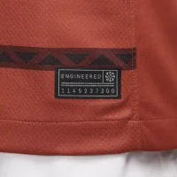 Pumas UNAM 2024 Stadium Goalkeeper Men's Nike Dri-FIT Soccer Replica Jersey Orange