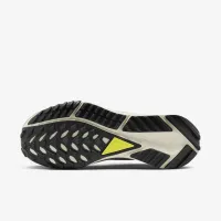 Nike Pegasus Trail 4 GORE-TEX женская Waterproof Trail Running обовь Brown