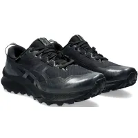 Кроссовки для бега Asics Gel-Trabuco 12 G-TX Gore-TEX (1011B801 002)