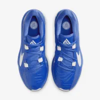 Nike Giannis Freak 5 баскетбольные Кроссовки синий