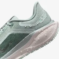 Nike Pegasus 41 GORE-TEX мужские Waterproof Road Running Кроссовки цвет серый