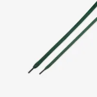 Nike Dunk Low Retro SE чоловічі Кросівки колір зелений