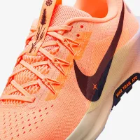Nike Pegasus Trail 5 мужские Trail Running Кроссовки Orange