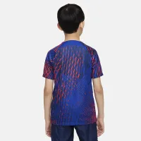 Paris Saint-Germain Big дитячі Nike Dri-FIT Pre-Match Soccer Top блакитний