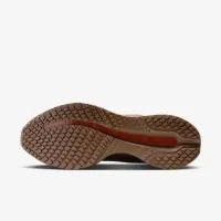 Nike Pegasus Premium мужские Road Running Кроссовки цвет коричневый