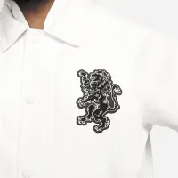 Nike LeBron мужские Storm-FIT ADV Куртка цвет серый