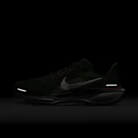 FAMU Pegasus 41 мужские Nike College Road Running Кроссовки цвет зеленый