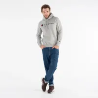 Кофта/футболка Champion Script Logo Embroidery Fleece Толстовка с капюшоном 217858-EM031 - Серая