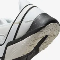 Nike Legend Essential 2 Premium жіноча тренувальні Кросівки колір сірий