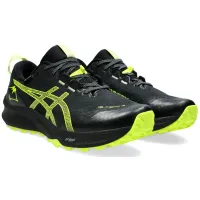 Кроссовки для бега Asics Gel-Trabuco 12 G-TX Gore-TEX (1011B801 003)
