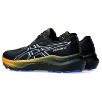 Кроссовки для бега Мужские ASICS GT-2000 14 GTX (1011C058 001)