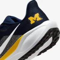 Michigan Pegasus 41 мужские Nike College Road Running Кроссовки синий