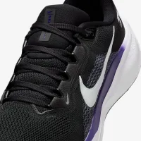 TCU Pegasus 41 чоловічі Nike College Road Running Кросівки колір чорний