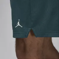 Nike Jordan Sport чоловічі Dri-FIT Mesh шорти колір зелений