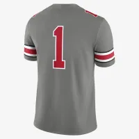 Ohio State Buckeyes мужские Nike Dri-FIT College Game Jersey цвет серый