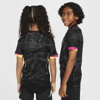 Chelsea FC 2024/25 Stadium Third Big дитячі Nike Dri-FIT Soccer Replica Jersey колір сірий