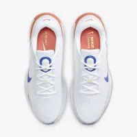 Nike Journey Run чоловічі Road Running Кросівки колір сірий