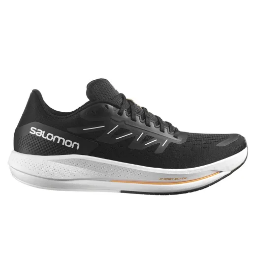 Кроссовки для бега Мужские Salomon SPECTUR (415896)