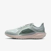 Nike Pegasus 41 GORE-TEX мужские Waterproof Road Running Кроссовки цвет серый