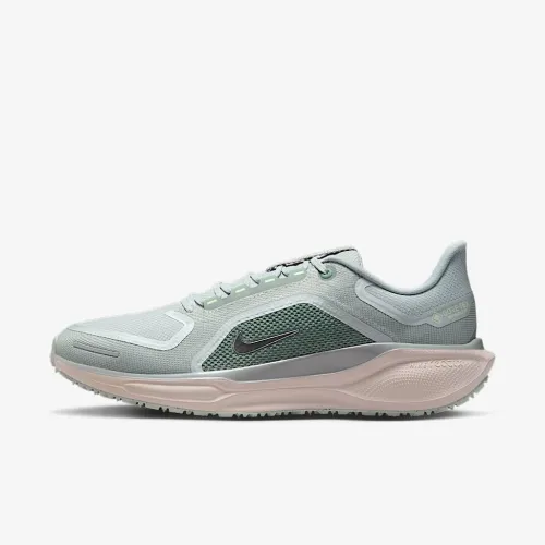 Nike Pegasus 41 GORE-TEX мужские Waterproof Road Running Кроссовки цвет серый