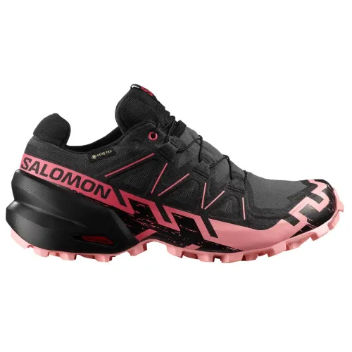 Кроссовки для бега w terenie SALOMON SPEEDCROSS 6 GTX Gore-tex (478804)