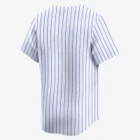 Duke блакитний Devils чоловічі Nike College Limited Baseball Jersey колір білий