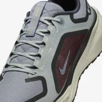 Nike Pegasus 41 GORE-TEX чоловічі Waterproof Road Running Кросівки колір сірий